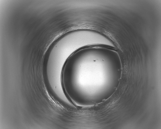 X0000059810534200510241358