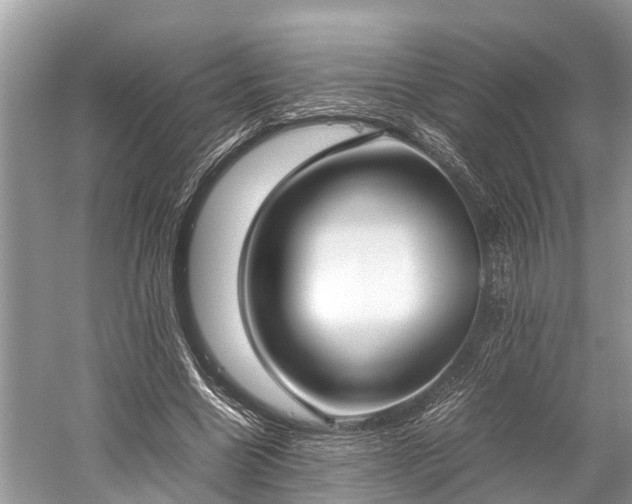 X0000059810538200510241358