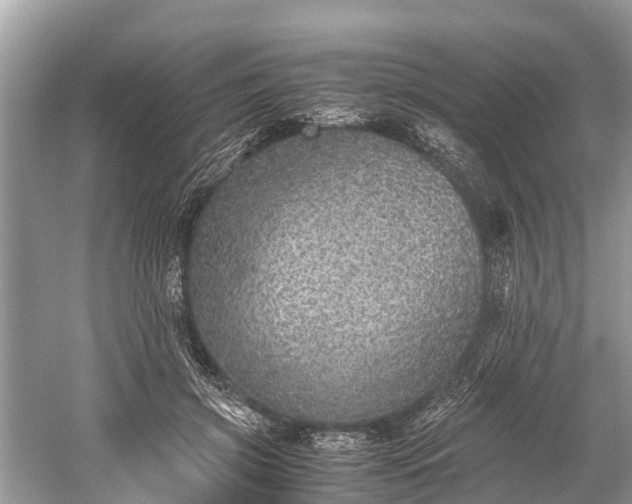 X0000059810549200510241358