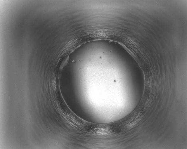 X0000059810552200510241358