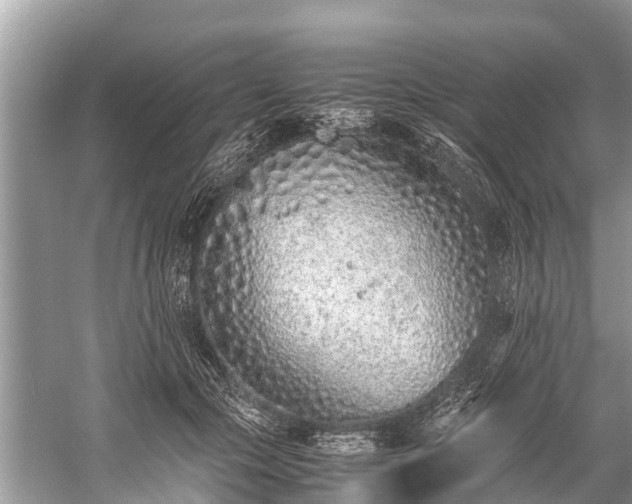 X0000059810553200510241358