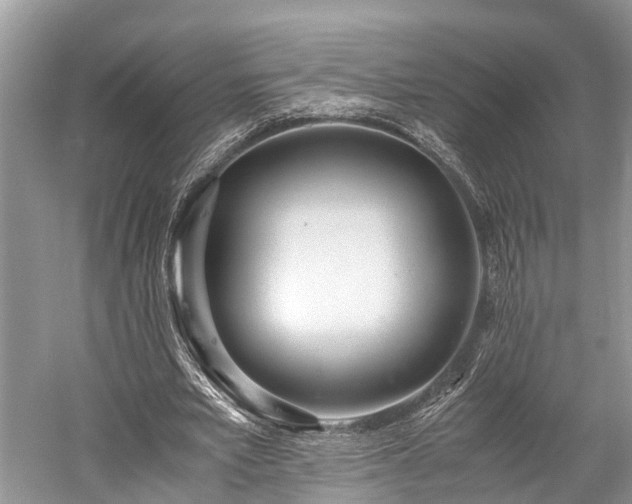 X0000059810581200510241358