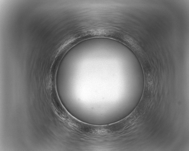 X0000059810583200510241357