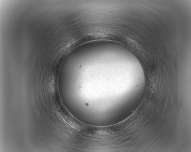 X0000059810596200510241357