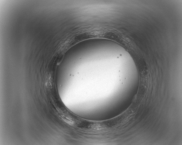 X0000059810597200510241357