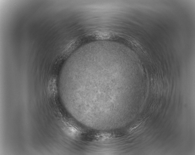 X0000059810598200510241357