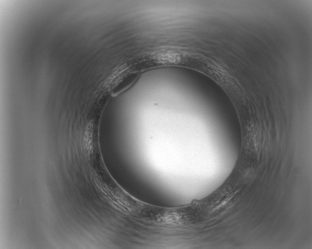 X0000059810600200510241357