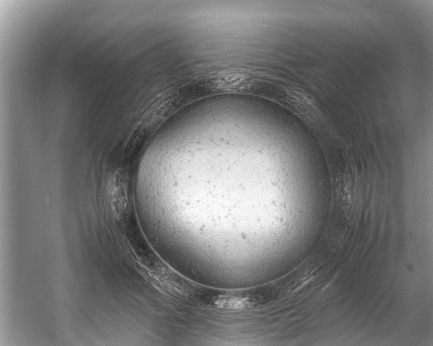 X0000059810602200510241357