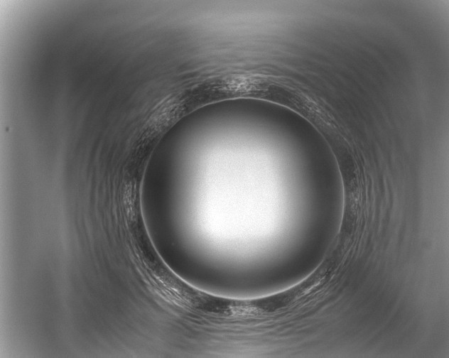 X0000059810605200510241357