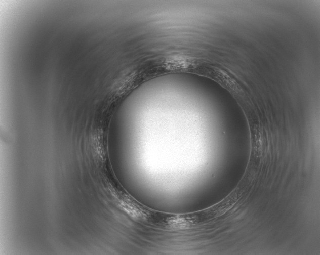 X0000059810616200510241357