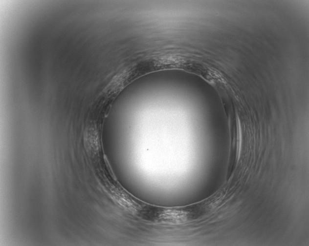 X0000059810617200510241357