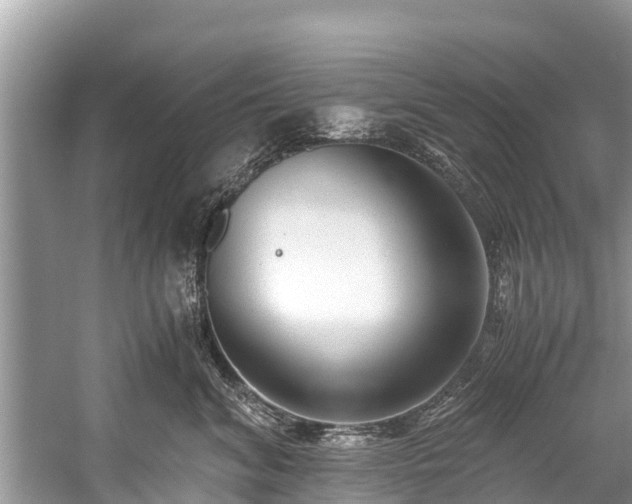 X0000059810620200510241357