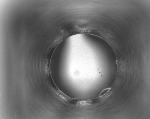 X0000059810622200510241357