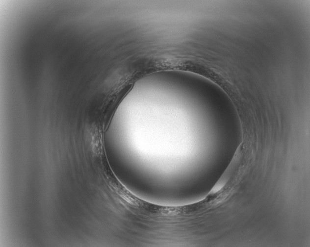 X0000059810624200510241357