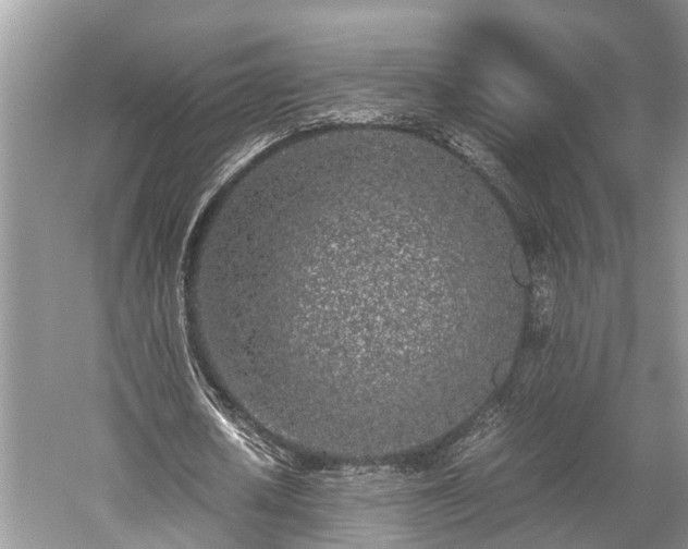 X0000059810626200510241356