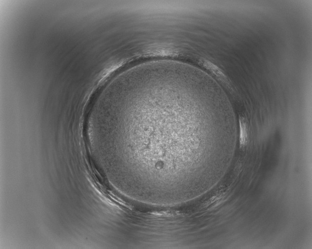 X0000059810627200510241356