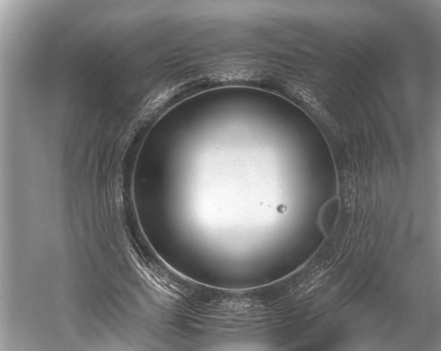 X0000059810631200510241356