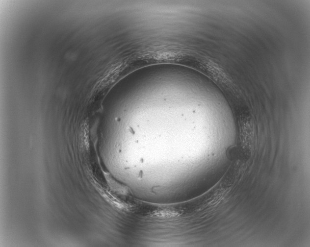 X0000059810644200510241356