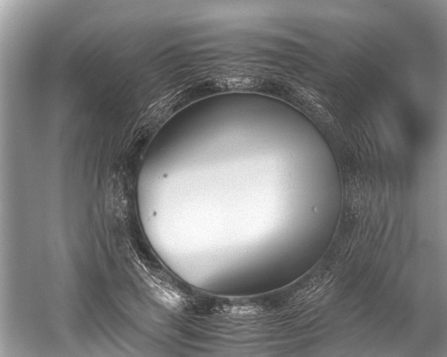 X0000059810645200510241356