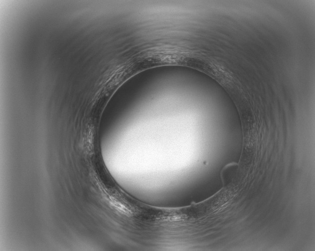 X0000059810646200510241356