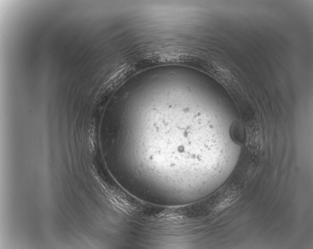 X0000059810648200510241356