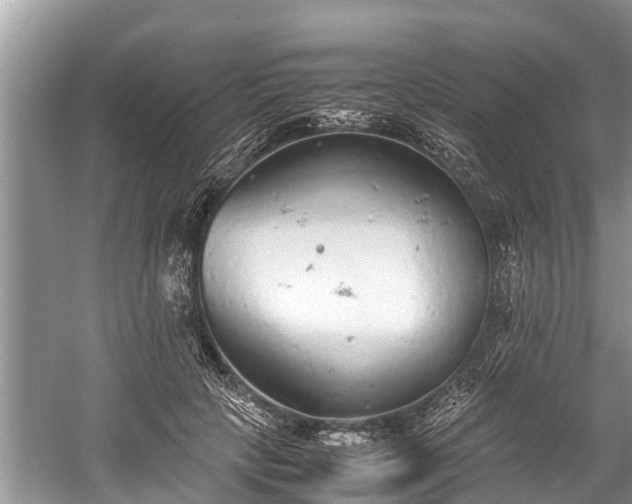 X0000059810649200510241356