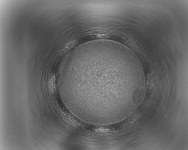 X0000059810650200510241356