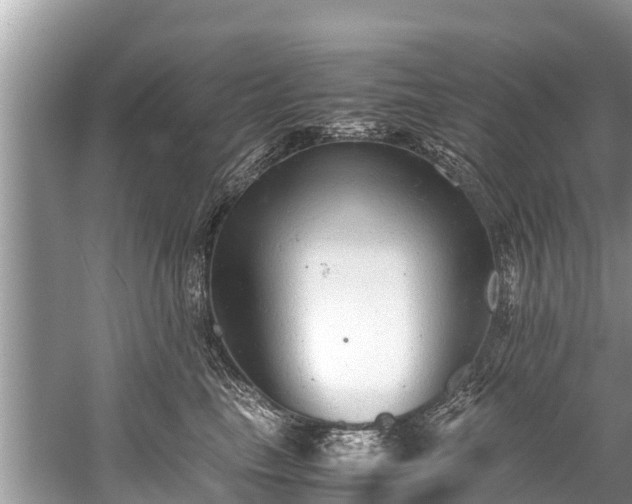 X0000059810665200510241357