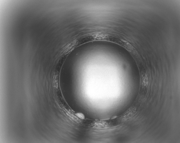 X0000059810666200510241357