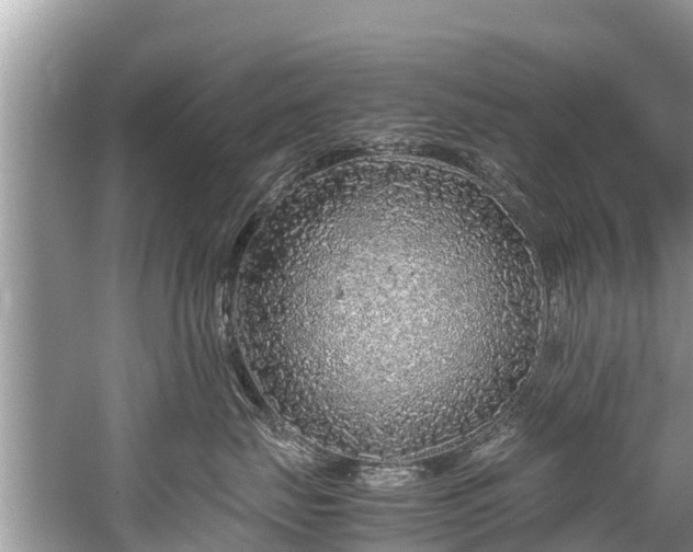 X0000059810671200510241357