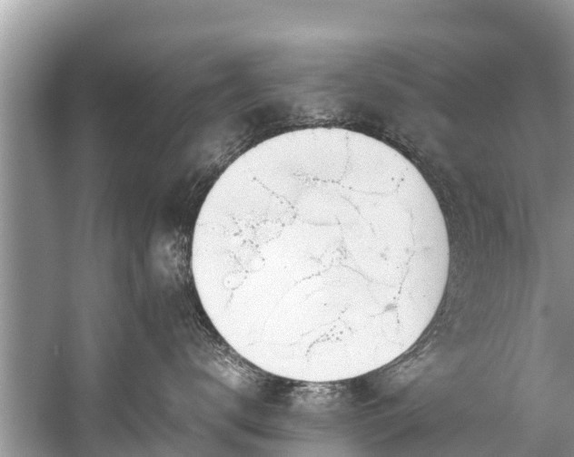 X0000059810672200510241357