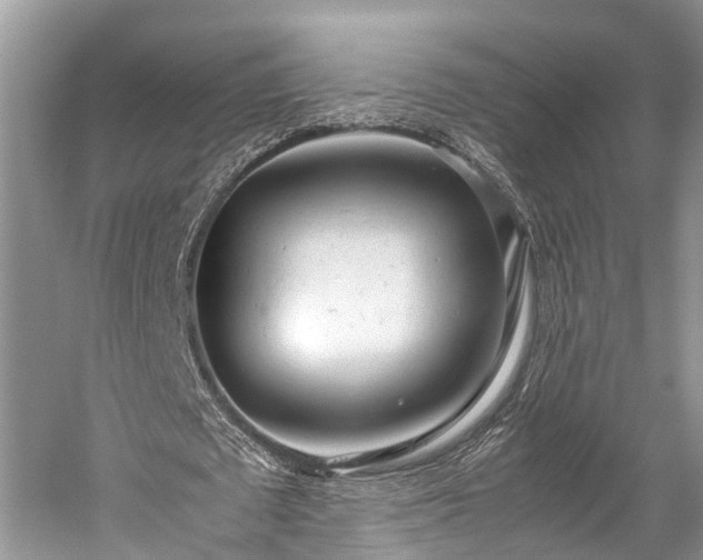 X0000059810673200510241356