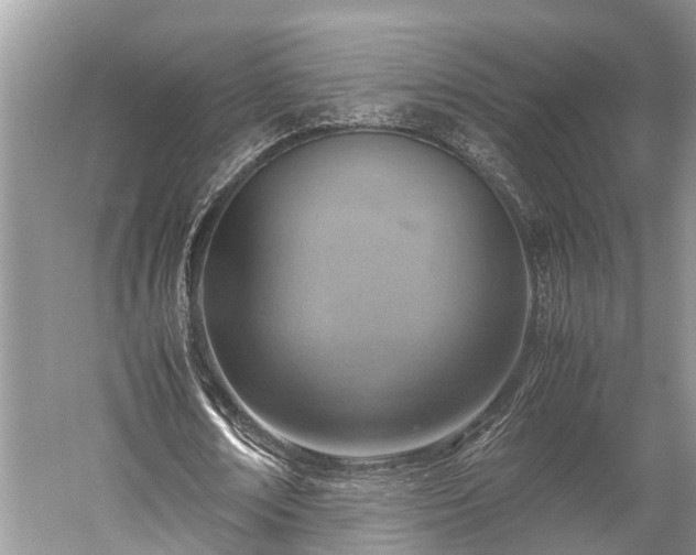 X0000059810674200510241356