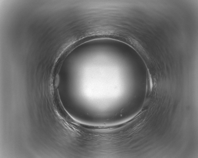 X0000059810676200510241356