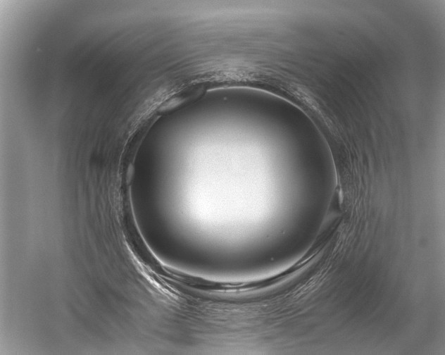 X0000059810677200510241356