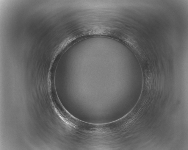 X0000059810678200510241356