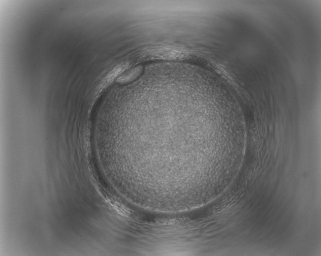 X0000059810679200510241356