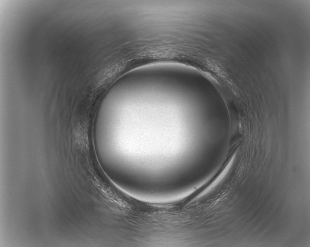 X0000059810681200510241356