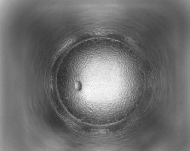 X0000059810683200510241356