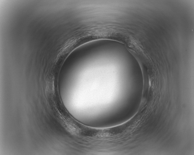 X0000059810685200510241356