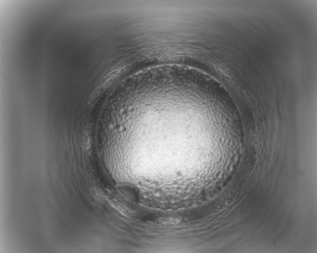 X0000059810687200510241356