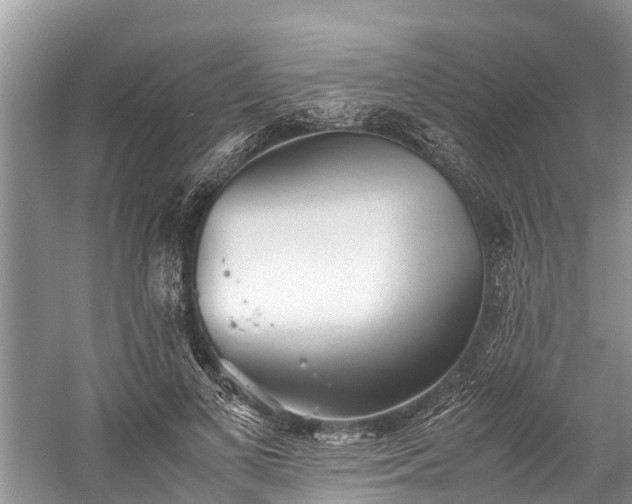 X0000059810693200510241356