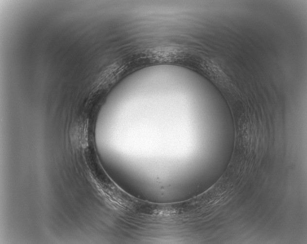 X0000059810694200510241356