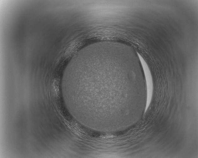 X0000059810695200510241356