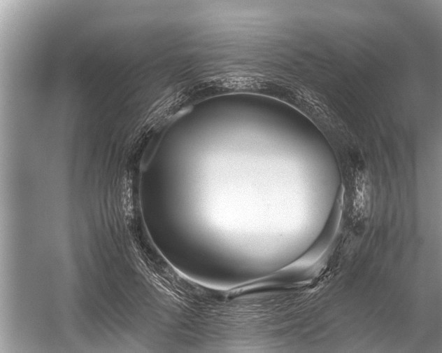 X0000059810696200510241356