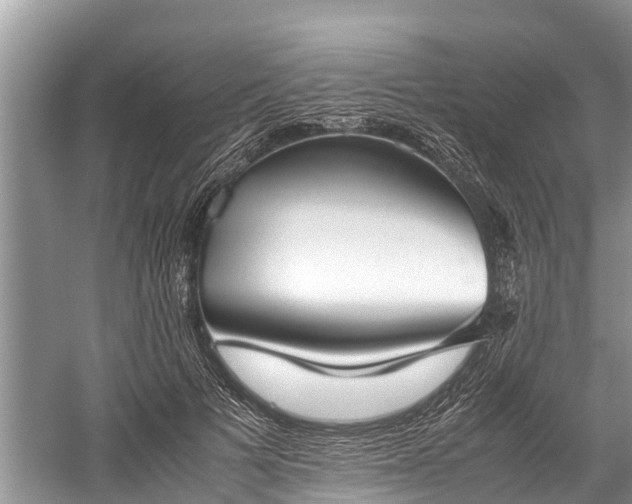 X0000059810697200510241356