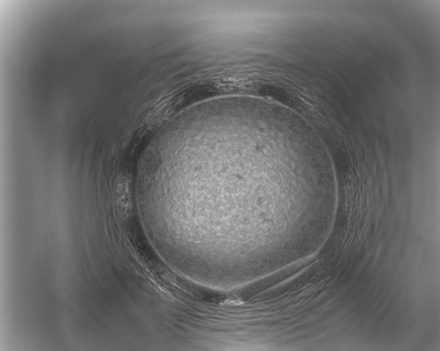 X0000059810699200510241356