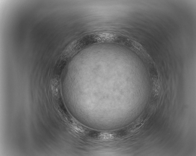 X0000059810701200510241355