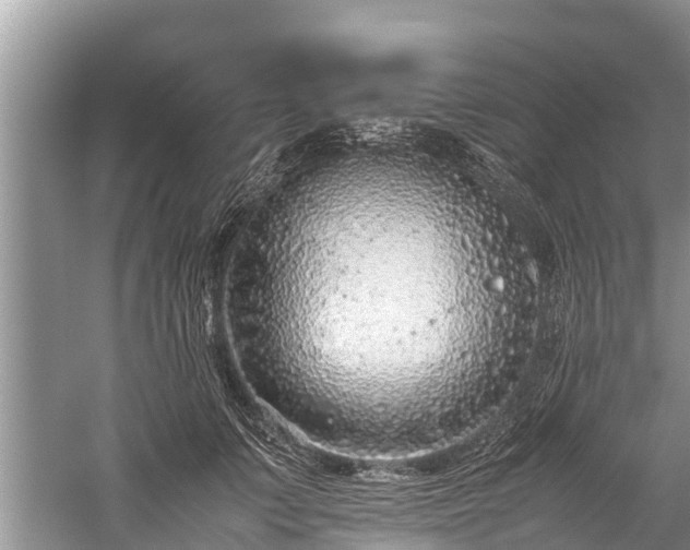 X0000059810703200510241355