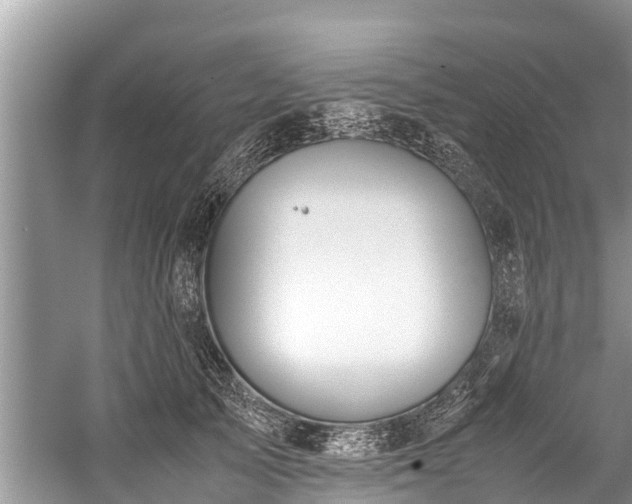 X0000059810705200510241355